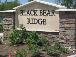 black bear ridge